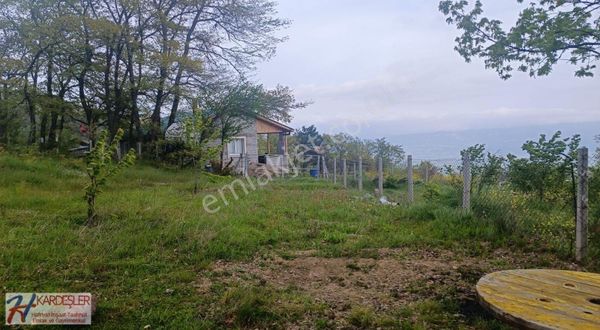 Resmi Yola Cephe Etrafı Çevrili Manzaralı Yatırımlık Arazi