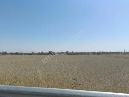 Nasreddin Emlaktan Söğütlüde Satılık Yatırımlık Verimli Tarla