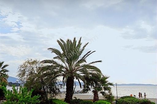 Denize 950 Metre Yakınlıkta 1315 M2 %50 Emsal Villa Arsası