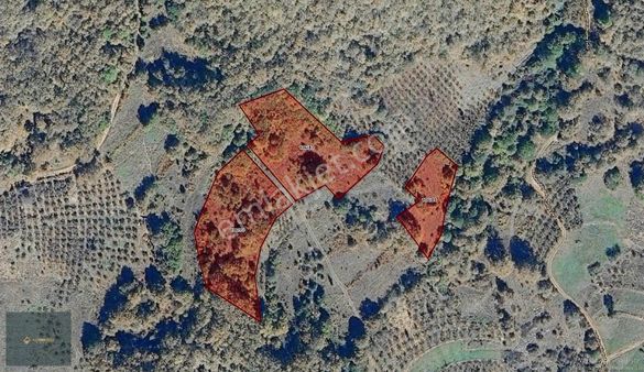 Altınköşe Emlak; Avdullar'da Satılık 10.132m2 Bahçe