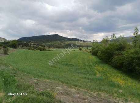 Altınköşe Emlak Satılık; Mudurnu Karacakaya'da 12.259m2 Tarla