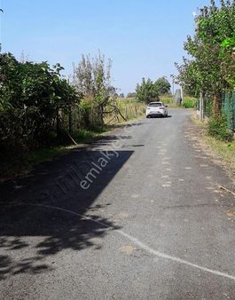 Altınköşe Emlak Satılık 506m2 Arsa