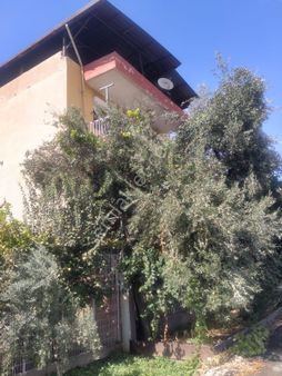 Satılık Mustakil Bina Yaşar Emlak Tan