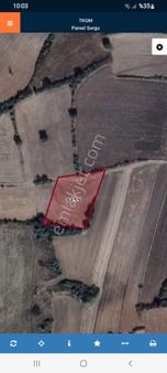 Edirne Uzunköprü Kurtbey Köyü Nde 2.917m² Müstakil Tapulu Tarla