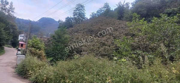 Satılık Hobi Bahçesi