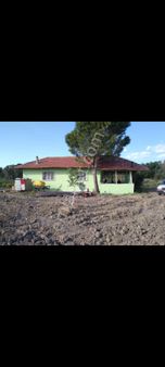 Aksu Pıknık Alanı Cıvarında Cevızlık Mükemmel