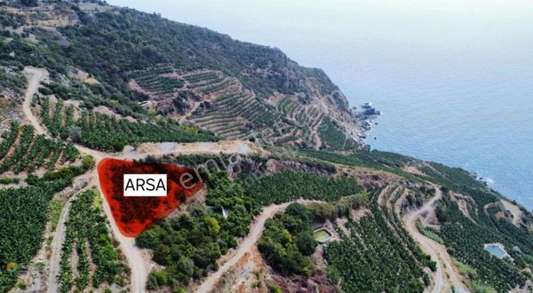 Zeytinada Mahallesi'nde Full Deniz Manzaralı Parsel