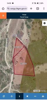 Tekirdağ Süleymanpaşa Naip Mah Satılık 5158m2 Bağ Yeri