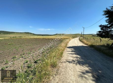 Silivri Seymen'de Kadastro Yola Cephe Satılık 22 Dönüm Tarla