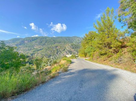 Türktaş Ta 837m2 Ana Yola Sıfır Ev Yapımına Uygun Meyve Bahçesi