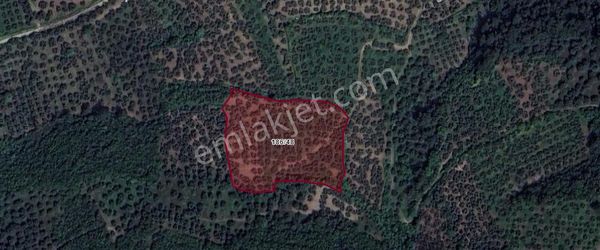 Gemlik - Gençali Köyün'de ( Togg ) Fabrıkasina Yakın Satılık Arazi