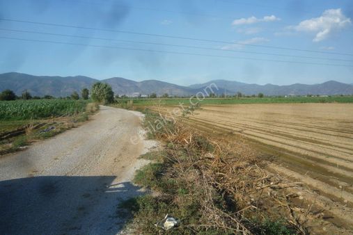 İzmir Torbalı Gold Emlaktan Satılık Verimli Tarla