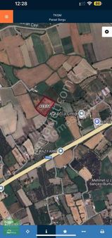 Zeytin Ağaçları İle Çevrili, İmara Yakın Konum