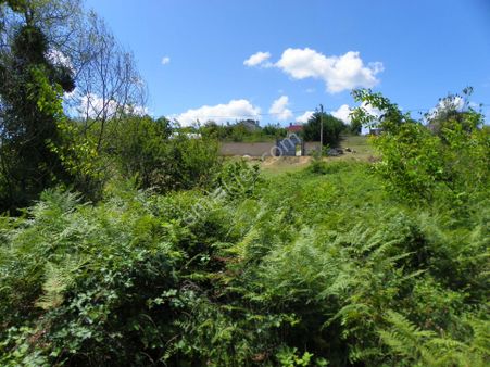 Gebze-duraklı Köyü Eleşli Mahallesinde Satılık Müstakil Tapulu 575 M2 Arazi