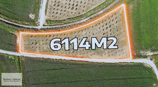 Satılık Arsa,tarla,bağ,bahçe,imara Yakın Tektapu