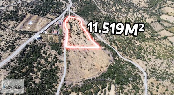 İzmir/menemen/çaltı Mh: 23.039 M2'nin %50'si Satılık Tarla