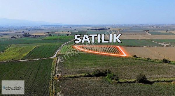 Satılık Arsa,tarla,bağ,erik Bahçesi,imara Yakın Tektapu