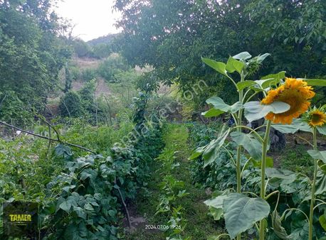 Tamer'dn Havran Çakırdere Mah.780m2 Su Kenarı Hobi Bahçesi