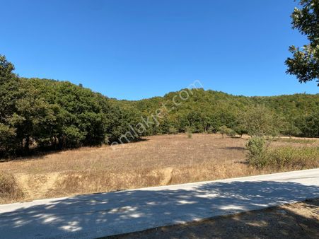 Yenice Yukarı İnova Satılık Tarla