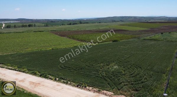 Bandırma Stm Emlaktan Erikli Köyünde Tarlalar Açıklamayı Okuyunz