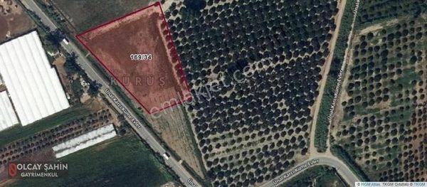 Serik Karadayı Boğazkent Yolunda 6300 M2 Ticari İmarlı Arsa