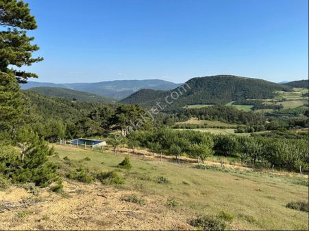 Sakarya Geyve Çine Mah Kelepir Fiyata Satılık Bahçe