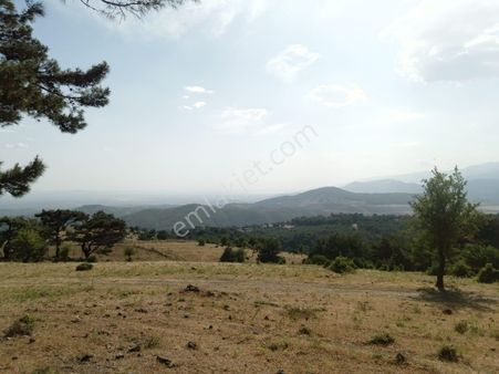 Century 21 Vizyon'dan Havran Fazlıca Köyünde Satılık Tarla