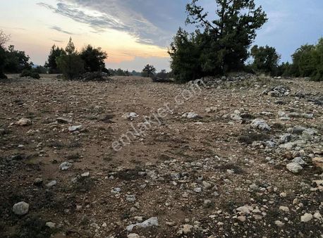 Erdemli Sarıkaya Kadılı Bölgesinde Satılık Tarla