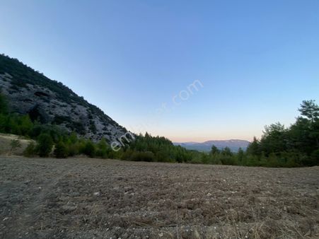 Burdur Bucak Dutalan Köyün De Satılık Arazi