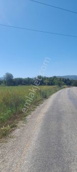 Muğla Köyceğiz Toparlar Mh 14530m2 Köyiçi Tarla