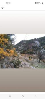 Arıcılık,kiraz,badem,ceviz İçin Çok Uygun Kelepir Tarla