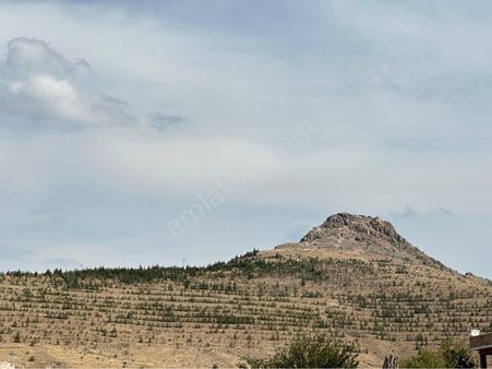 Sarayköy Yeri Konumu Düzgün Bahçelik Yatırımlık Yer