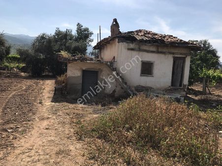 Manisa Alaşehir Ilıca Mahallesinde Satılık Bağ