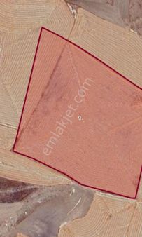 Sezenler Emlaktan Sarayönü Karabıyık Mahallesi'nde Satılık Tarla