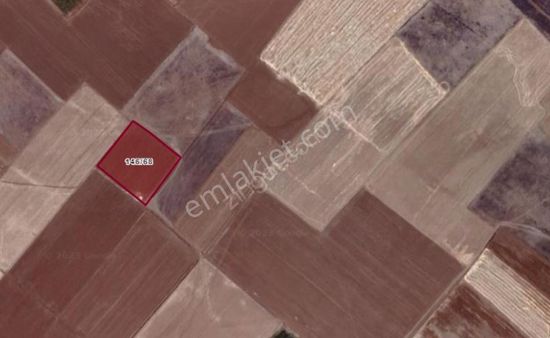 Satlık Tarla Aksaray Hanobaşı Köyünde Satlık Tarla