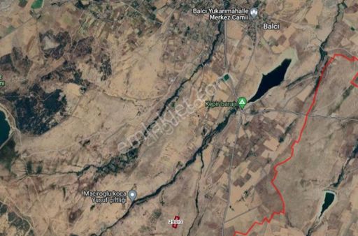 Satılık Tarla Ortaköy Balcı Köyde Tarla