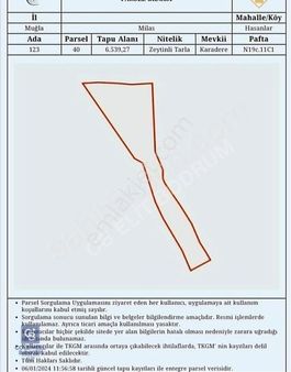 Milas'ta Yatırımlık Zeytinli Tarla