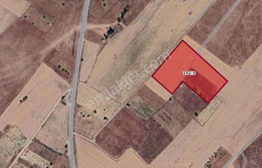 Satılık Tarla Ortaköy Balcı Da Tarla