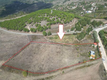 Kocaeli Karamürsel Fulacık Satılık 4985 M2 Tarla
