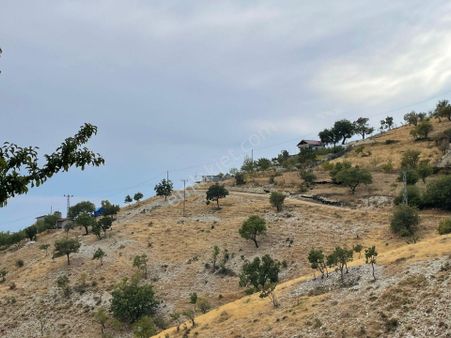 Cb'den Muhteşem Doğa Manzaralı Göllü'de Satılık Bağ