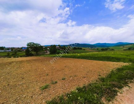 Altın Emlak’tan Derince Karagöllü Mah.de Köyiçi İmarlı Arsa