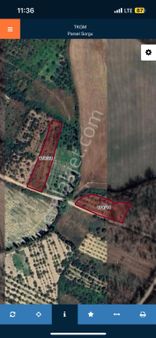 Engilli 1300 Mt Satılık Yatırımlık