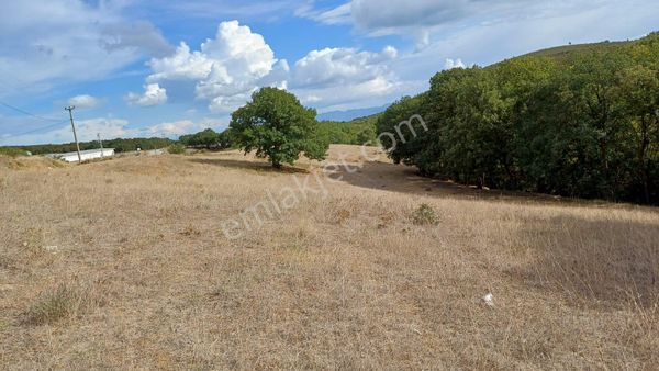 Bursa İznik Bayındır 6559 M2 Satılık Tarla