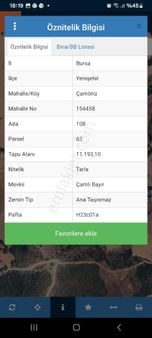 Takaza Açık Ayçiçeği Tarlası