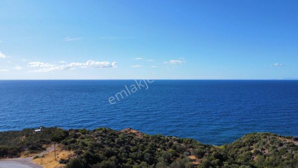 Ayvacık Babakalede 3800 M2 Anayol Üstü Deniz Manzaralı Zeytinlik