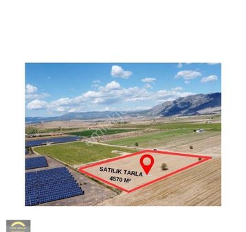 Tepe Group Gayrimenkul'den Acıpayam Yeniköy Mahallesinde Satılık 4570 M² Tarla