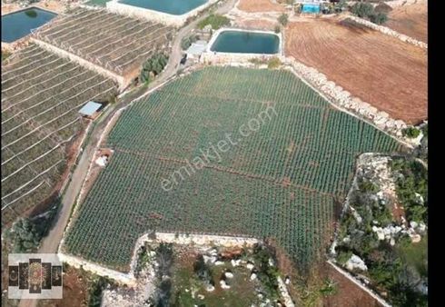 Mersin Erdemli Karahmrtli Satılık Tarla 5 Dönüm