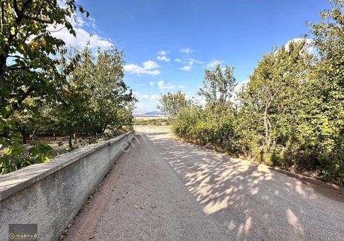 Ayaş Oltanda Konut İmarlı Üzerinde 2+1 Yapı Meyva Ağaçları Olan Muhteşem Bahçe