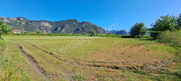 Eray Emlaktan Dalyanda 1200m2 Satılık Tarla