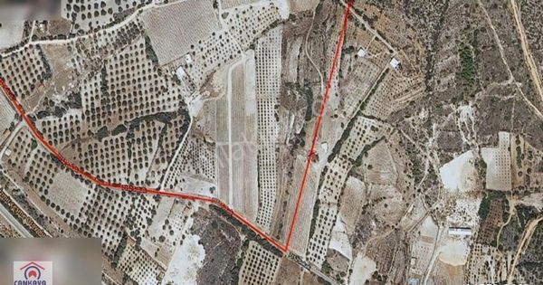 Çakabey Mevkii 3 Parsel 13 Dönüm + Kiralıkta 14 Dönüm Bağ Tarla